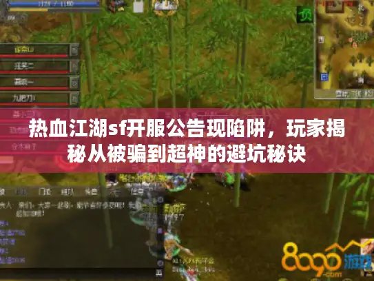 热血江湖sf开服公告现陷阱，玩家揭秘从被骗到超神的避坑秘诀