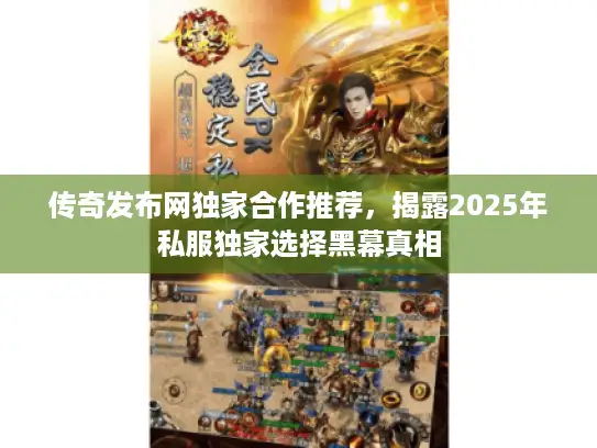 传奇发布网独家合作推荐，揭露2025年私服独家选择黑幕真相
