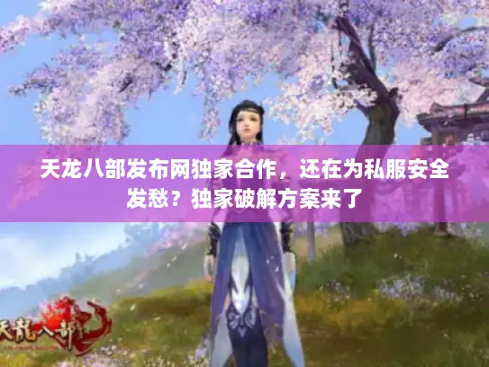 天龙八部发布网独家合作，还在为私服安全发愁？独家破解方案来了