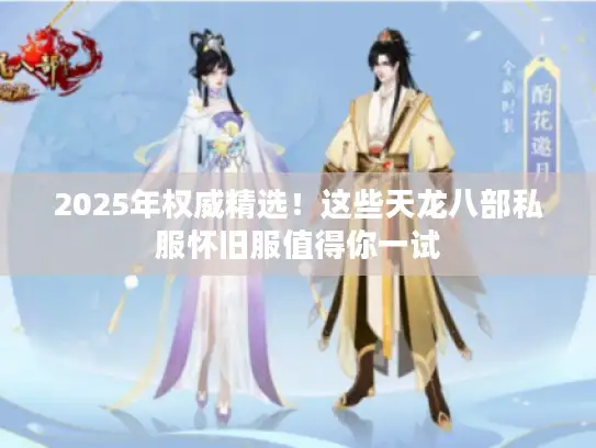 2025年权威精选!这些天龙八部私服怀旧服值得你一试 2025年权威精选!这些天龙八部私服怀旧服值得你一试