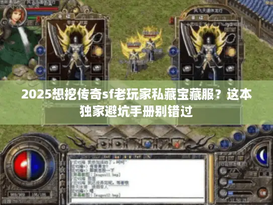 2025想挖传奇sf老玩家私藏宝藏服？这本独家避坑手册别错过