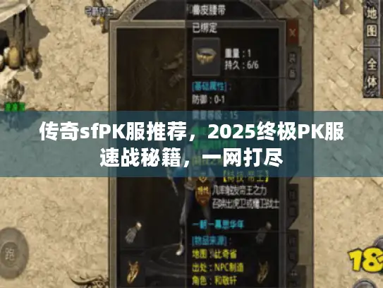 传奇sfPK服推荐，2025终极PK服速战秘籍，一网打尽