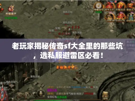 老玩家揭秘传奇sf大全里的那些坑，选私服避雷区必看！