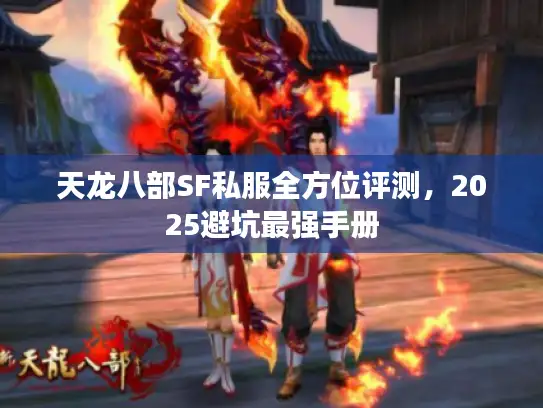 天龙八部SF私服全方位评测，2025避坑最强手册