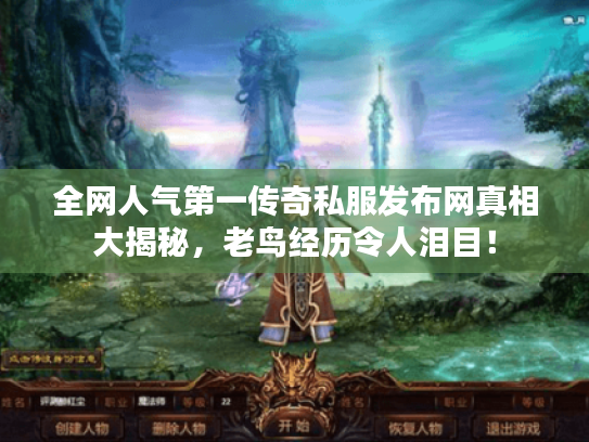 全网人气第一传奇私服发布网真相大揭秘，老鸟经历令人泪目！