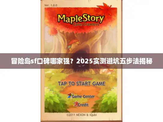 冒险岛sf口碑哪家强？2025实测避坑五步法揭秘