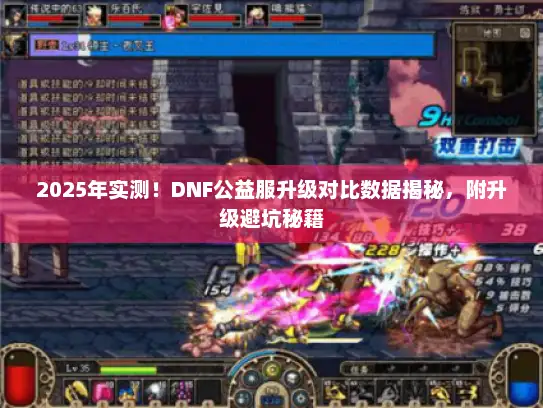 2025年实测！DNF公益服升级对比数据揭秘，附升级避坑秘籍
