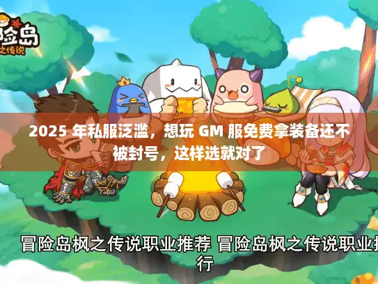 2025 年私服泛滥，想玩 GM 服免费拿装备还不被封号，这样选就对了