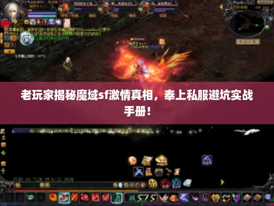 老玩家揭秘魔域sf激情真相，奉上私服避坑实战手册！
