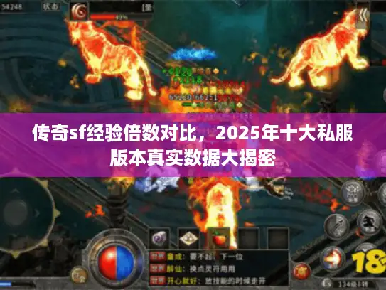 传奇sf经验倍数对比,2025年十大私服版本真实数据大揭密 传奇sf经验倍数对比,2025年十大私服版本真实数据大揭密