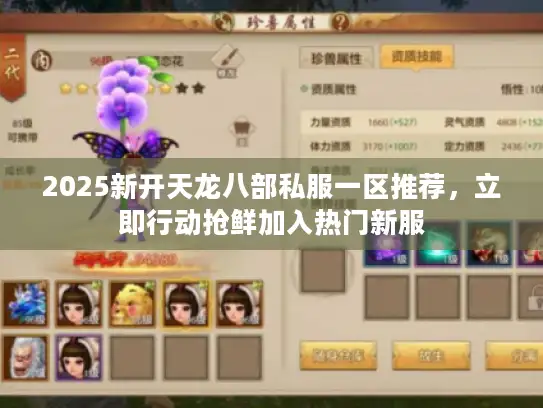 2025新开天龙八部私服一区推荐，立即行动抢鲜加入热门新服