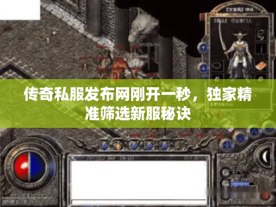 传奇私服发布网刚开一秒，独家精准筛选新服秘诀