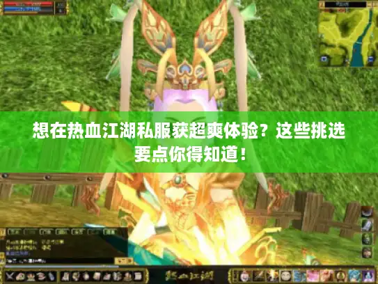 想在热血江湖私服获超爽体验？这些挑选要点你得知道！