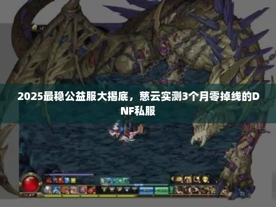 2025最稳公益服大揭底，慈云实测3个月零掉线的DNF私服