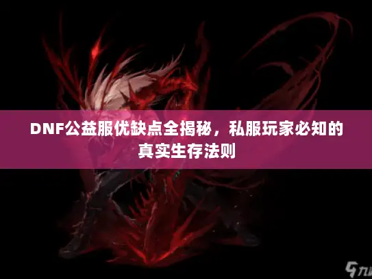 DNF公益服优缺点全揭秘，私服玩家必知的真实生存法则