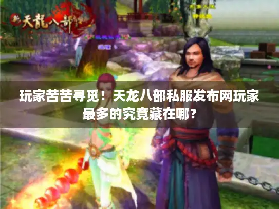 玩家苦苦寻觅！天龙八部私服发布网玩家最多的究竟藏在哪？