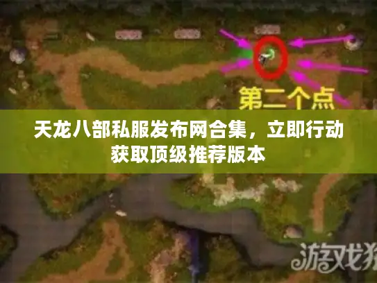 天龙八部私服发布网合集，立即行动获取顶级推荐版本