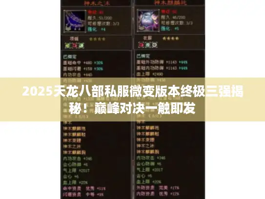 2025天龙八部私服微变版本终极三强揭秘！巅峰对决一触即发