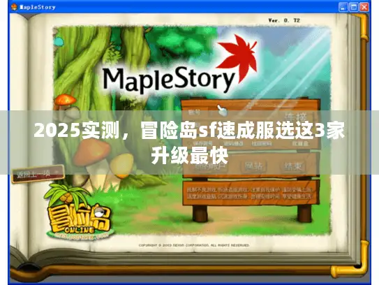 2025实测，冒险岛sf速成服选这3家升级最快