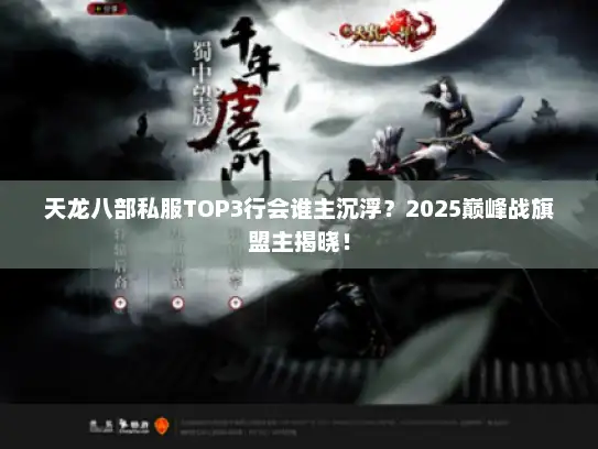 天龙八部私服TOP3行会谁主沉浮？2025巅峰战旗盟主揭晓！