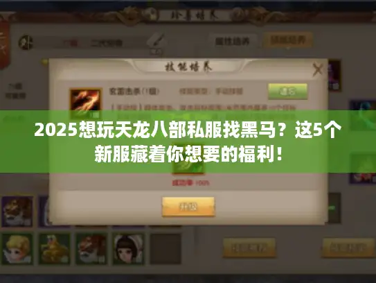 2025想玩天龙八部私服找黑马？这5个新服藏着你想要的福利！
