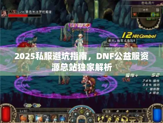 2025私服避坑指南，DNF公益服资源总站独家解析