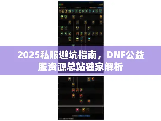 2025私服避坑指南，DNF公益服资源总站独家解析