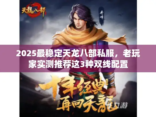 2025最稳定天龙八部私服，老玩家实测推荐这3种双线配置