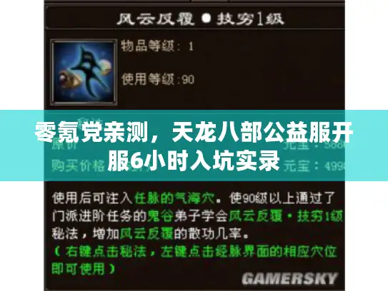 零氪党亲测，天龙八部公益服开服6小时入坑实录