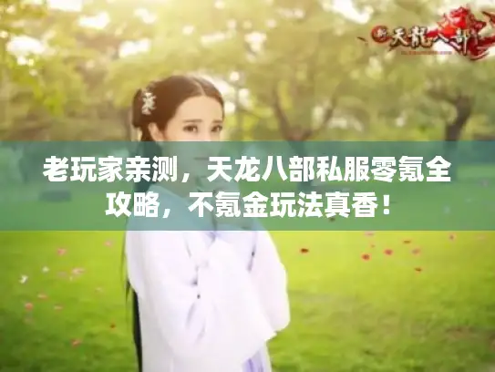 老玩家亲测，天龙八部私服零氪全攻略，不氪金玩法真香！