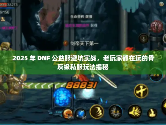 2025 年 DNF 公益服避坑实战，老玩家都在玩的骨灰级私服玩法揭秘
