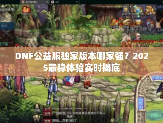 DNF公益服独家版本哪家强？2025最稳体验实时揭底