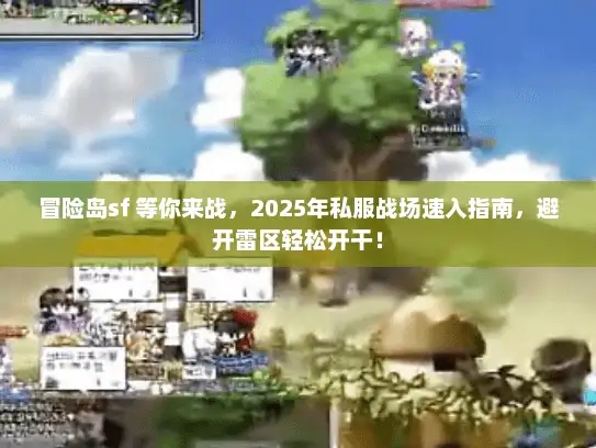 冒险岛sf 等你来战，2025年私服战场速入指南，避开雷区轻松开干！