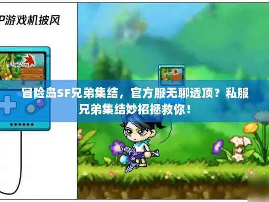 冒险岛SF兄弟集结，官方服无聊透顶？私服兄弟集结妙招拯救你！