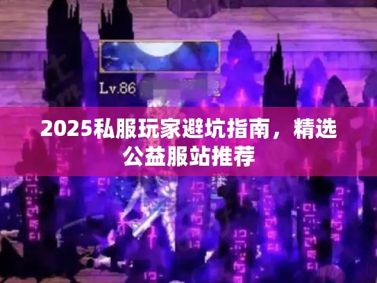2025私服玩家避坑指南，精选公益服站推荐