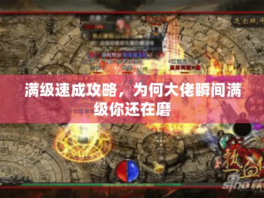 满级速成攻略，为何大佬瞬间满级你还在磨