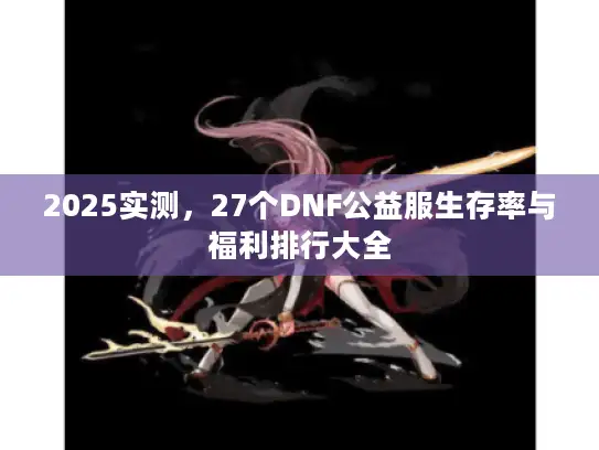 2025实测，27个DNF公益服生存率与福利排行大全