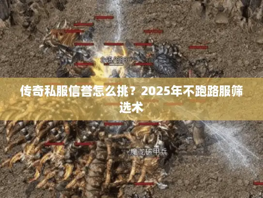 传奇私服信誉怎么挑？2025年不跑路服筛选术