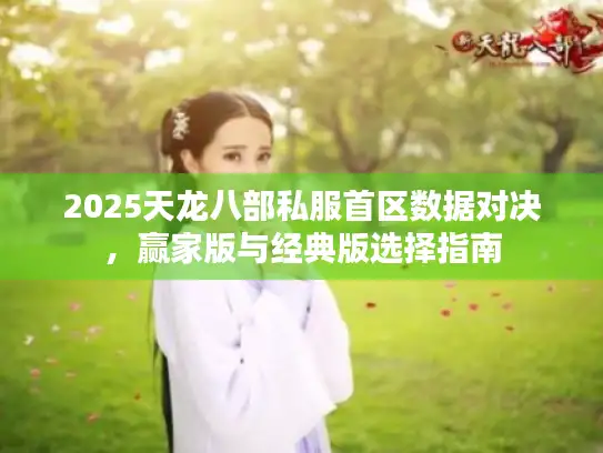 2025天龙八部私服首区数据对决，赢家版与经典版选择指南
