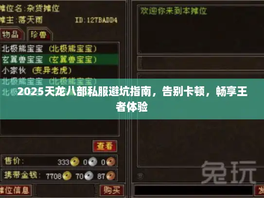 2025天龙八部私服避坑指南，告别卡顿，畅享王者体验