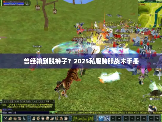 曾经输到脱裤子？2025私服跨服战术手册