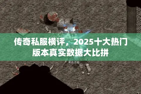 传奇私服横评,2025十大热门版本真实数据大比拼 传奇私服横评,2025十大热门版本真实数据大比拼