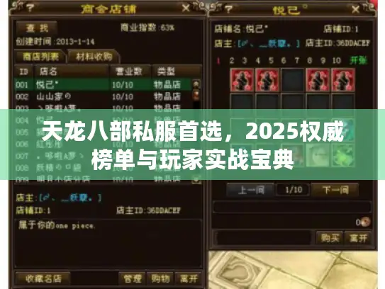 天龙八部私服首选，2025权威榜单与玩家实战宝典