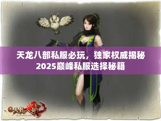 天龙八部私服必玩，独家权威揭秘2025巅峰私服选择秘籍