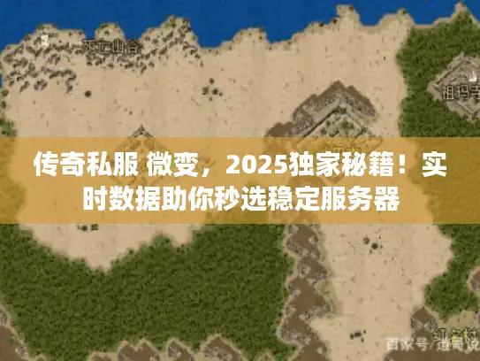 传奇私服 微变，2025独家秘籍！实时数据助你秒选稳定服务器