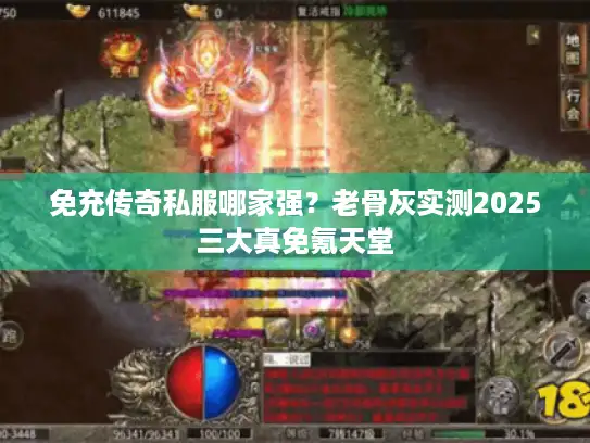 免充传奇私服哪家强？老骨灰实测2025三大真免氪天堂