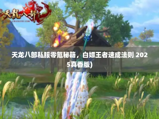 天龙八部私服零氪秘籍,白嫖王者速成法则 2025真香版) 天龙八部私服零氪秘籍,白嫖王者速成法则 2025真香版)