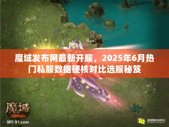 魔域发布网最新开服，2025年6月热门私服数据硬核对比选服秘笈
