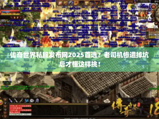 传奇世界私服发布网2025首选？老司机惨遭掉坑后才懂这样挑！