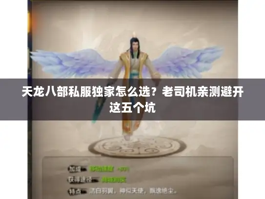 天龙八部私服独家怎么选？老司机亲测避开这五个坑